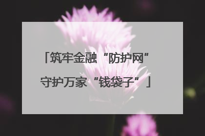 筑牢金融“防护网” 守护万家“钱袋子”